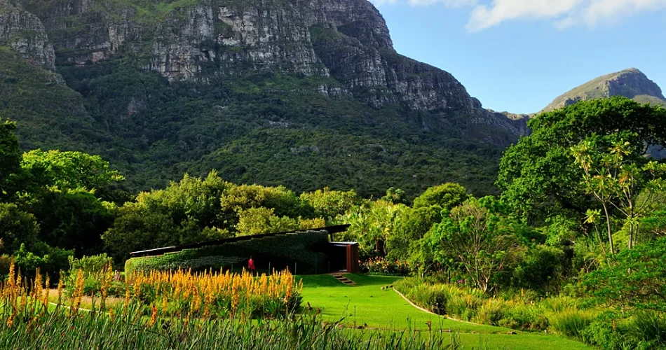 Best Places to Visit in Cape Town, South Africa