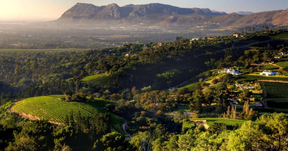 Best Places to Visit in Cape Town, South Africa