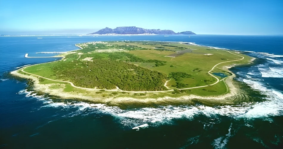 Discover Cape Town: 14 Incredible Things to Do and See