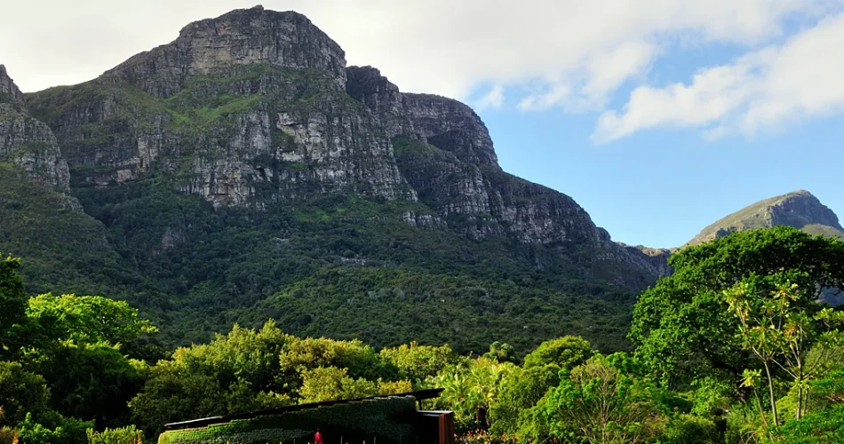 Discover Cape Town: 14 Incredible Things to Do and See