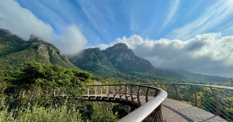 Discover Cape Town: 14 Incredible Things to Do and See